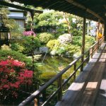 INDOOR + Architecture - Japanese Interior Solution: GARDEN POND BRIDGE