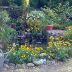 Water Garden Design Solution by Forbeli Home - London, UK, Bordeaux, France