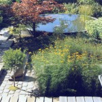 Water Garden Design - swimming pool Solution #40 by Forbeli Home - London, UK, Bordeaux, France